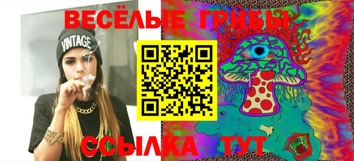 где найти наркотики  Вход с VPN  Вязники  Псилоцибиновые грибы GOLDEN TEACHER  Псилоцибиновые грибы прущие грибы 